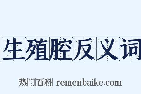 生殖腔反义词是什么意思的图片